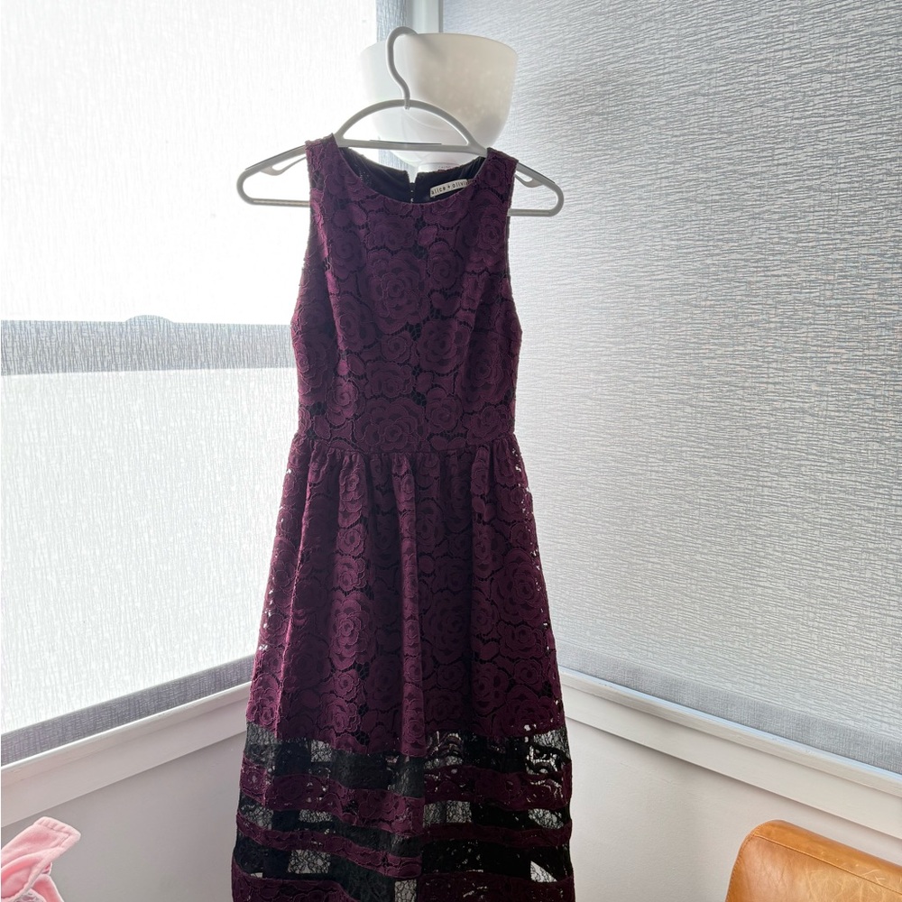 Alice Olivia Elegant Purple Lace Dress size 0